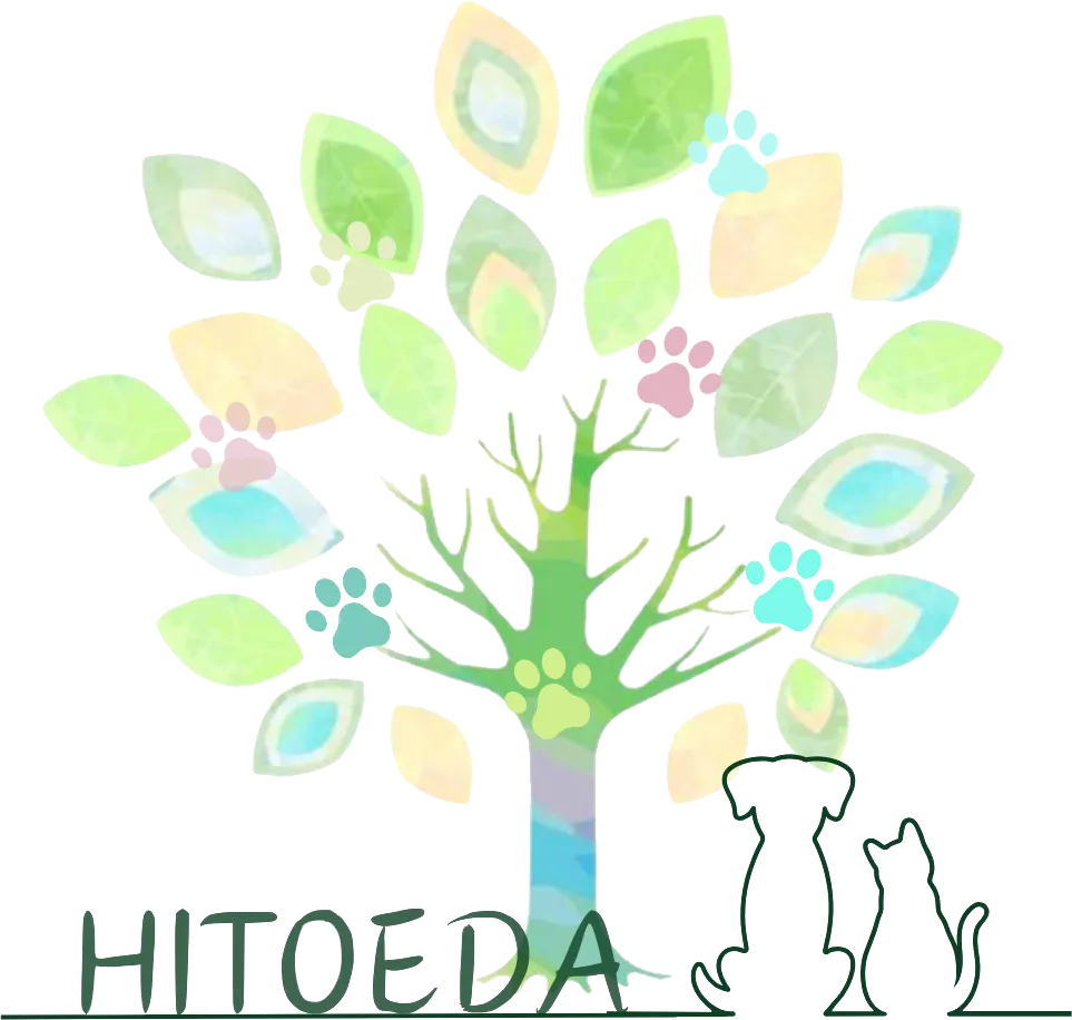 阪南市で、ペットのしつけや問題行動の悩みに寄り添い、飼い主さんと絆を育むサポートを行います。