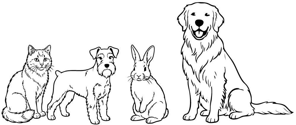 こちらを見る動物たち