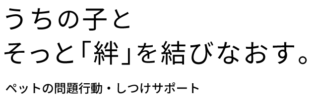 うちの子とそっと絆を結びなおす